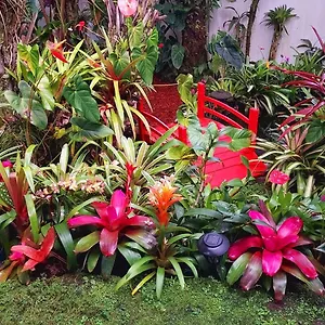 Homestay Paradise At Anthurium Hale Hilo
